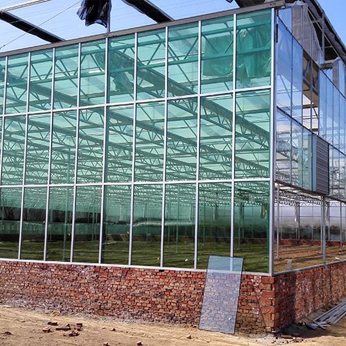 连栋玻璃温室 连栋玻璃温室